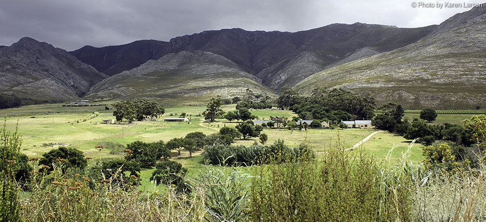 Escape the City Bustle and Get Back to your Roots